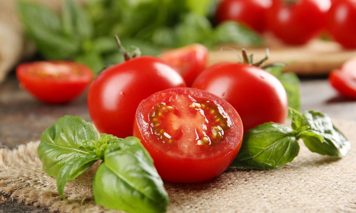 Tomato Festival Image